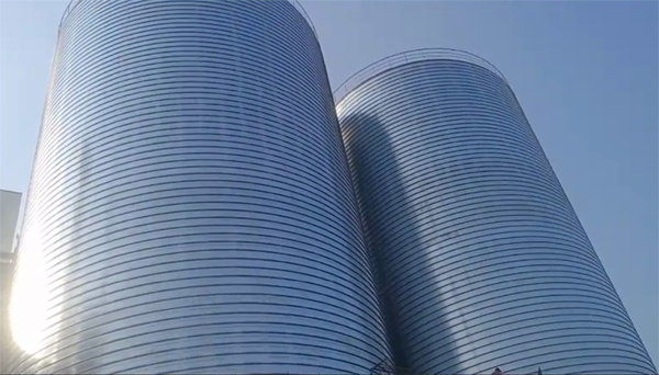 雨花2座混凝土高架卷板仓